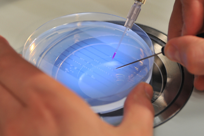 6- Eppendorf AG - Zelltechnologie