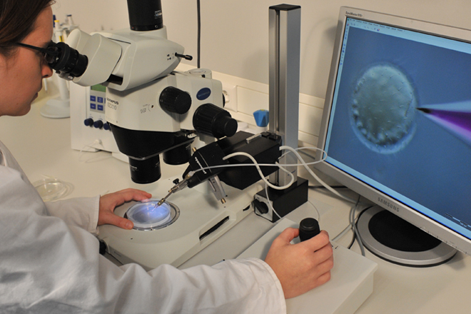 7- Eppendorf AG - Zelltechnologie